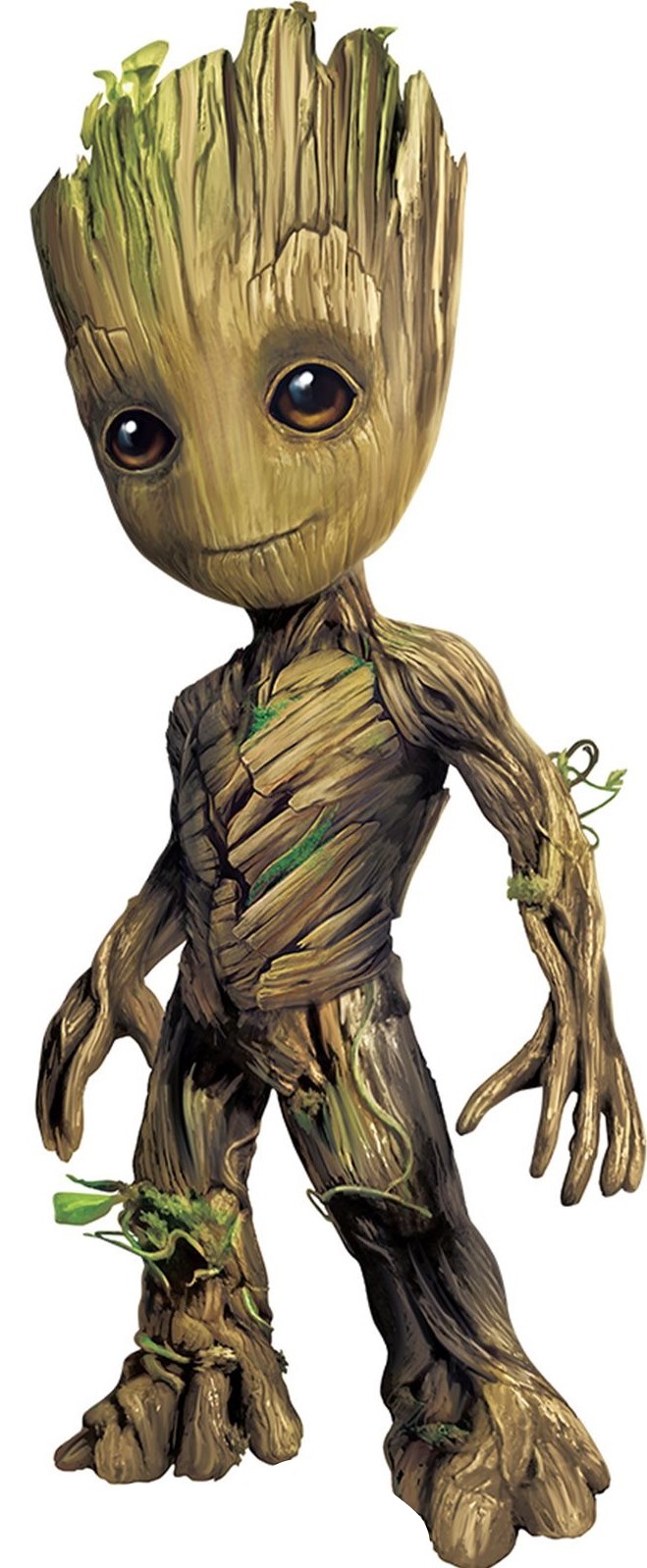 groot-image